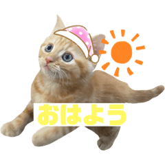 AOI_20210629165812