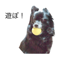 Mikan Stanp