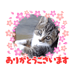 satoshi_20210629202358