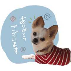 nozomi_20210629210817