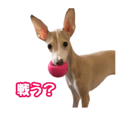 yamada_20210629231234