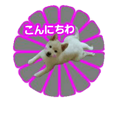 dangomochi,greeting