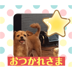 ace_20210630144848