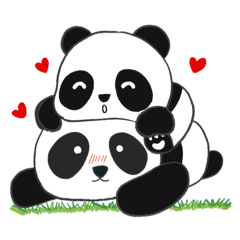 Panda Couple : BaoBao & BeiBei (English)