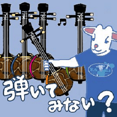 daily life of OKINAWA sanshin goat3