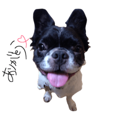JOJO stickers