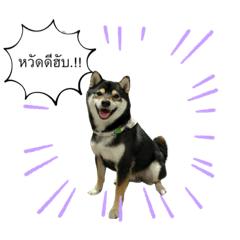 Dew_20210630002807 – LINE stickers | LINE STORE