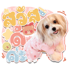 BamDleCuba the Doggies