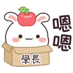 嬌嬌兔姓名貼_學長專用