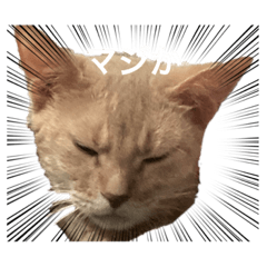 AKIKO_20210630140655