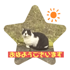 akiko_20210630175939