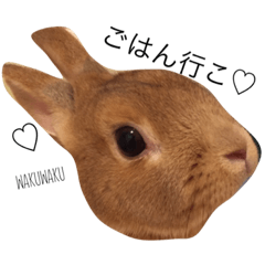My pet name is RAN