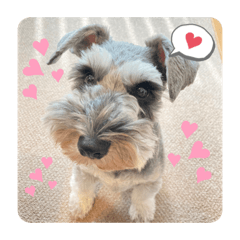 Takuya Iwata_20210630162855