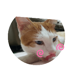 小柚同學臉紅紅