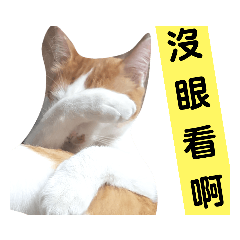 小柚同學內心戲