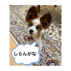 Mary_20210630195238