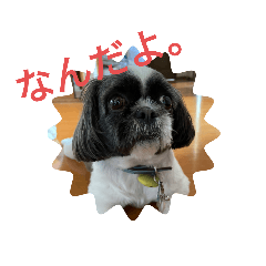 Yamada_20210630213821