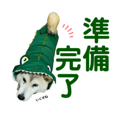 yuka_20210701083107