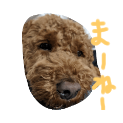 saya_20210630172247