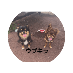 rina_20210630183701