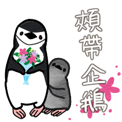 Chinstrap penguin stickers -TW