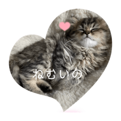 mimi_20210630221049