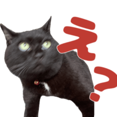Rokusticker1