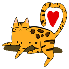 Mibo the Bengal cat's daily life
