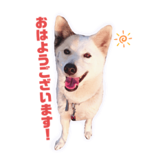 risa_20210630232231