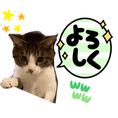 hana_20210701131055