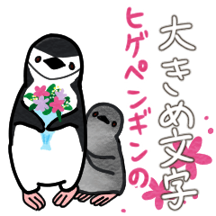 Chinstrap penguin stickers -JPN