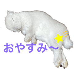 miki_20210630234121