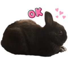 mini_20210701103152
