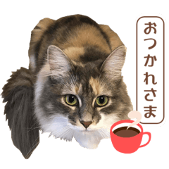 Cat's FUKU-chan sticker