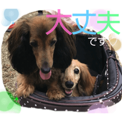 nozomi_20210701163609