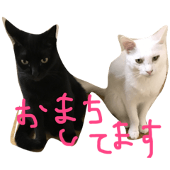 umekoba