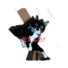 nonta_20210701152734