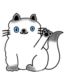 Mino the Himalayan cat : Doodle Version