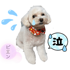 わんちゃん集合 Line スタンプ Line Store わんちゃん集合 Line スタンプ Line Store