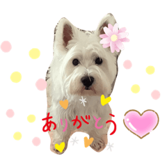 momoko_20210701141031