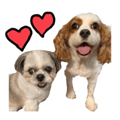 Asuka_20210701225208