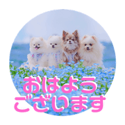 kyonmomo_20210701235443