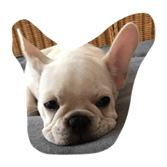 BUBU.FB