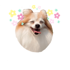 今天來點可愛嗎