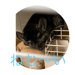 NATSUMI_20210701234705