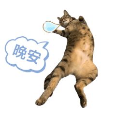 北爛Leo的日常1