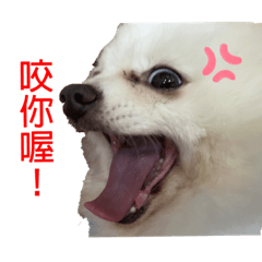 我是臭錢錢
