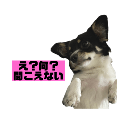 rina_20210702135028