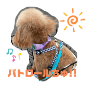 riichiibii_20210702141226