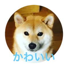 Miki_20210702003244